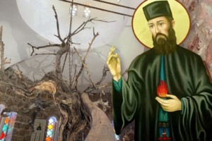 Κουβεντιάζοντας με τον άγιο Εφραίμ